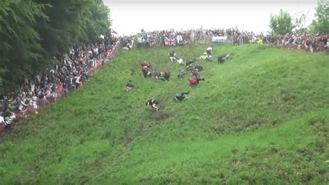 Will there be a Robin movie, and can we expect a crossover with the world of competitive cheese rolling?